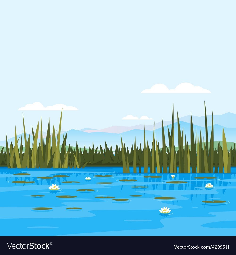 Озеро с камышами вектор