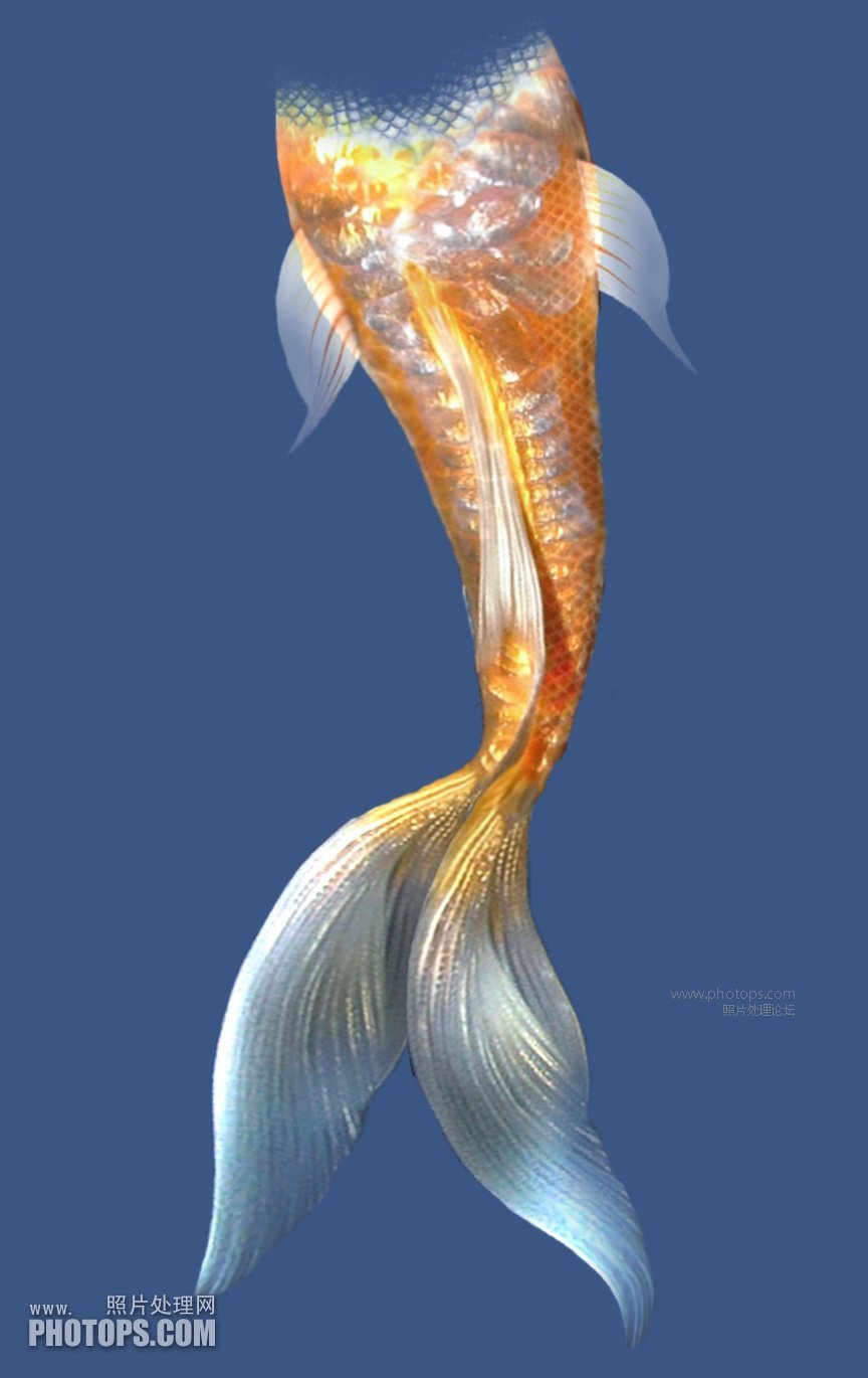 Гуппи вуалехвост