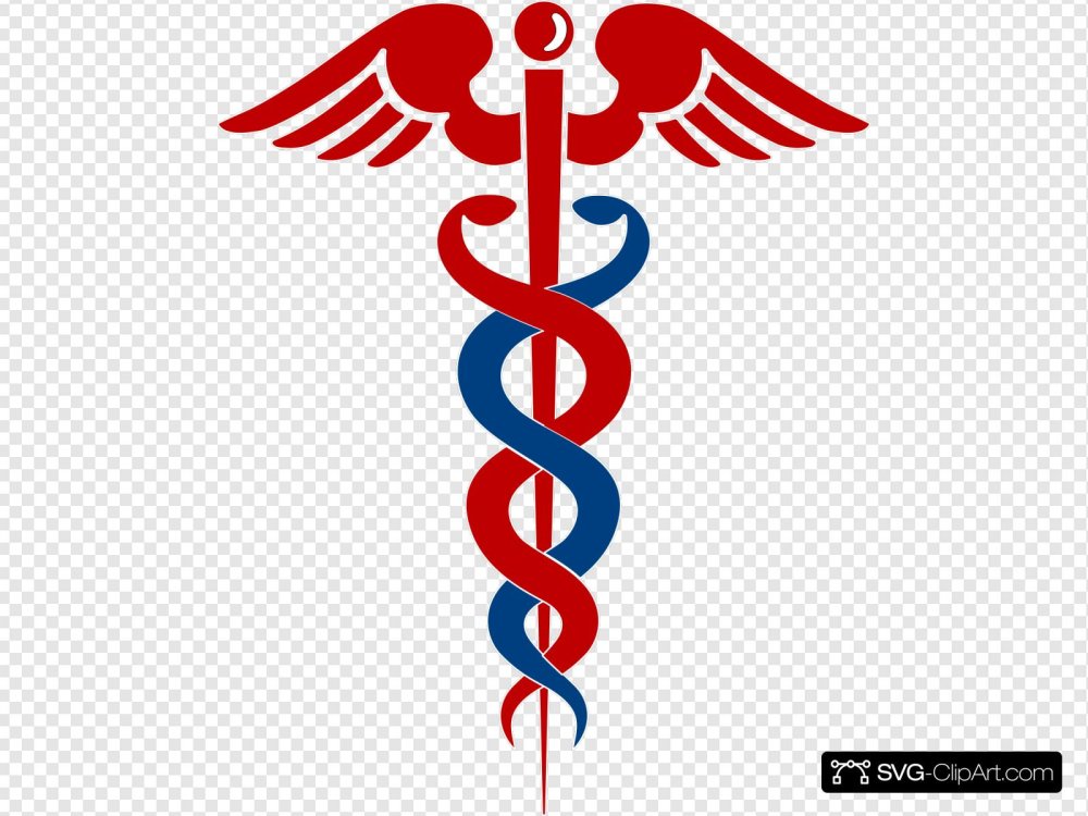 Символ больницы змея