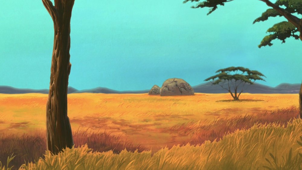 Африка пустыня Саванна джунгли