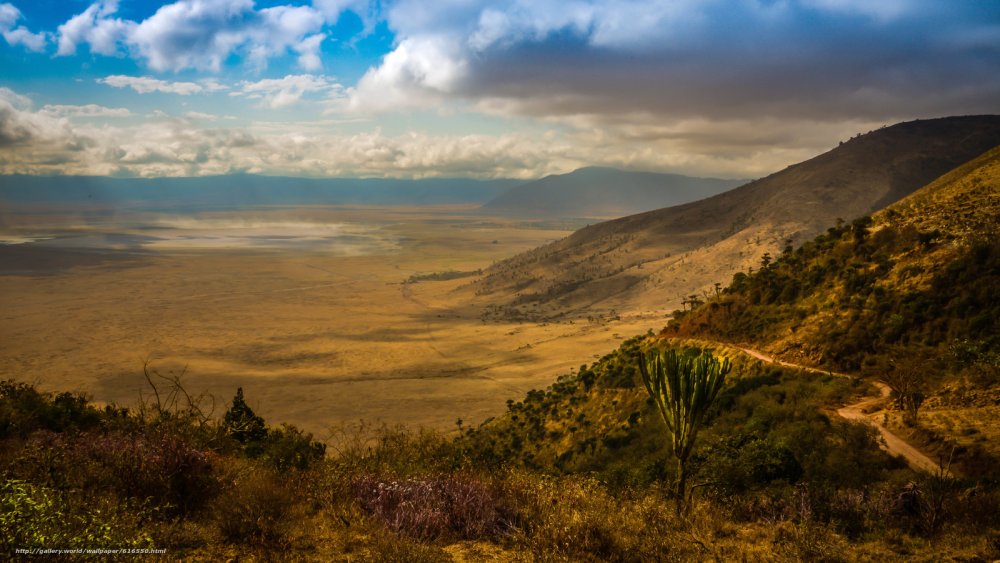 Африканская Саванна в лучах