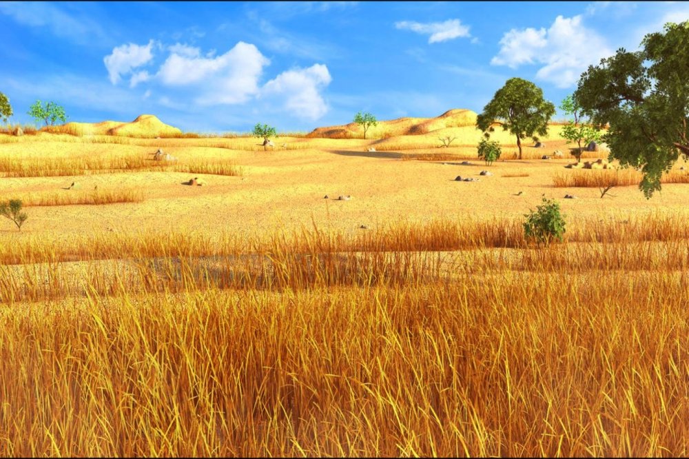 Саванна полупустыня Пакистан Индия