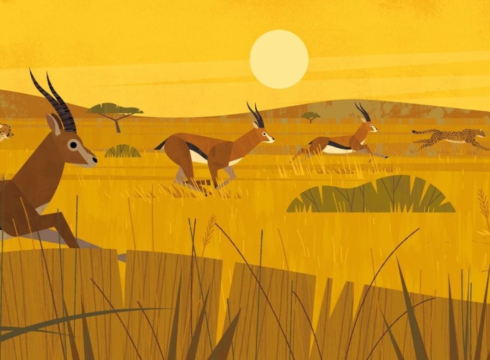 Жираф в пустыне