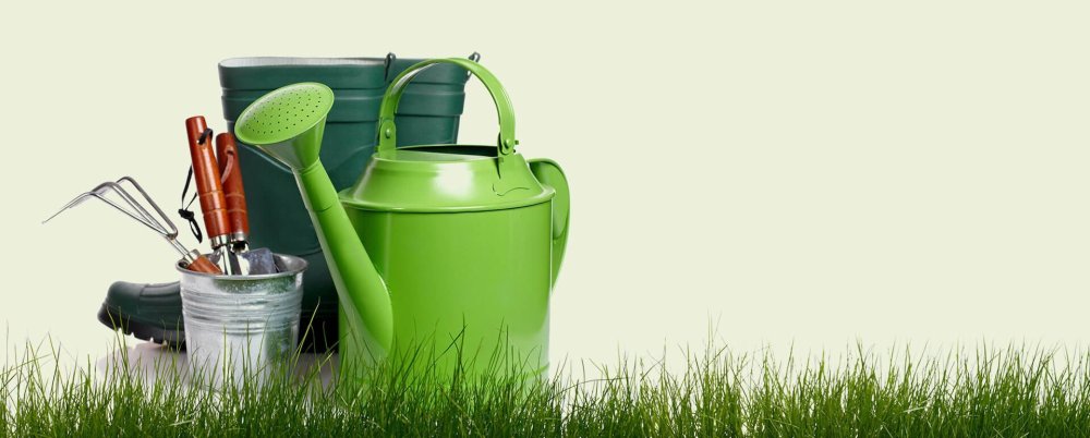 Товары для субботника