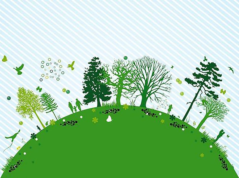 Экологический диктант 2020