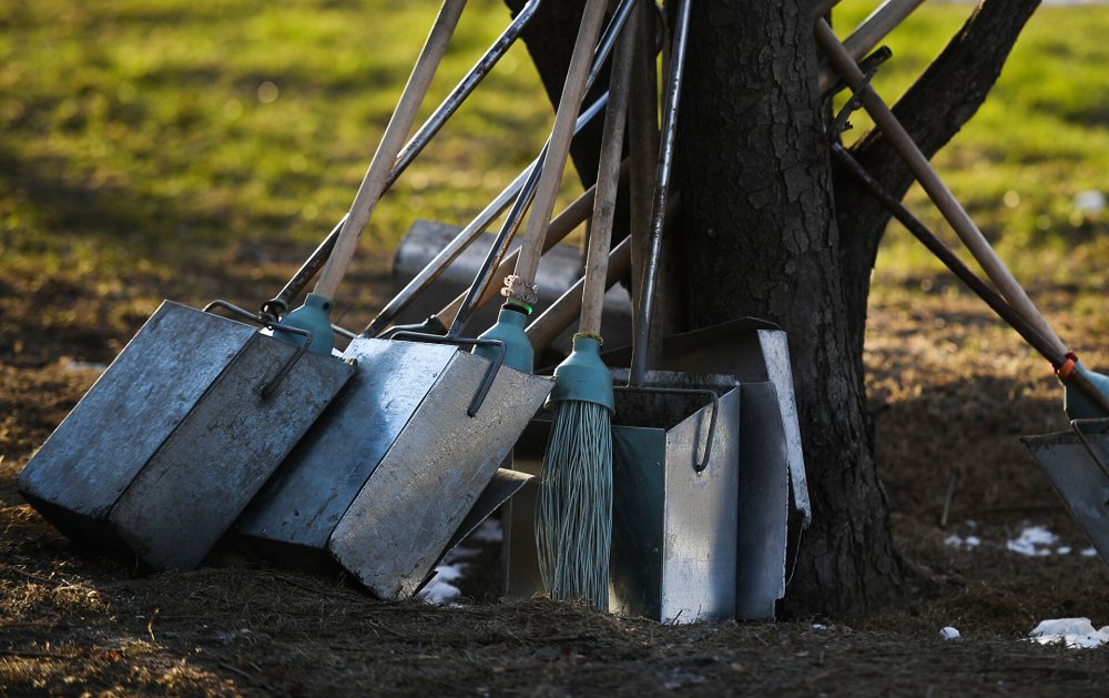 Картинка субботник в детском саду