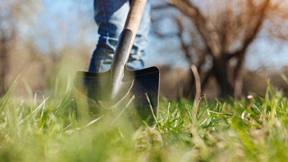 Человек с лопатой вектор
