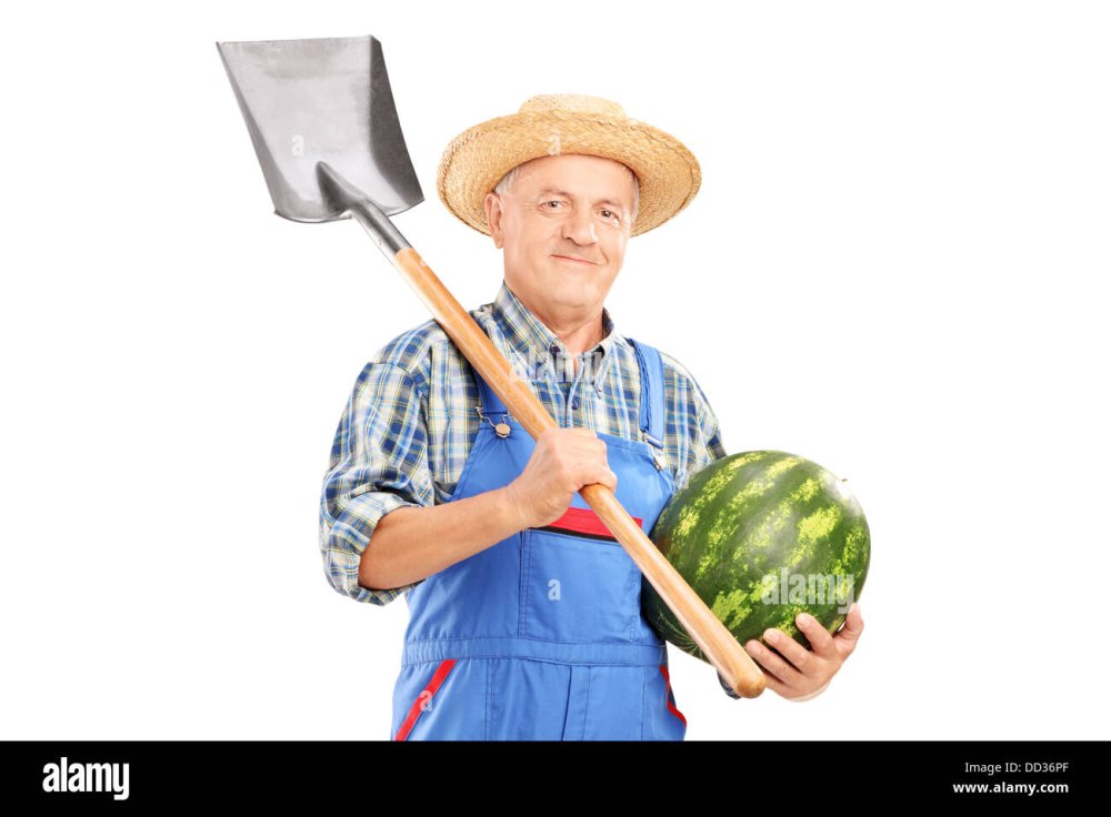 Садовник копает