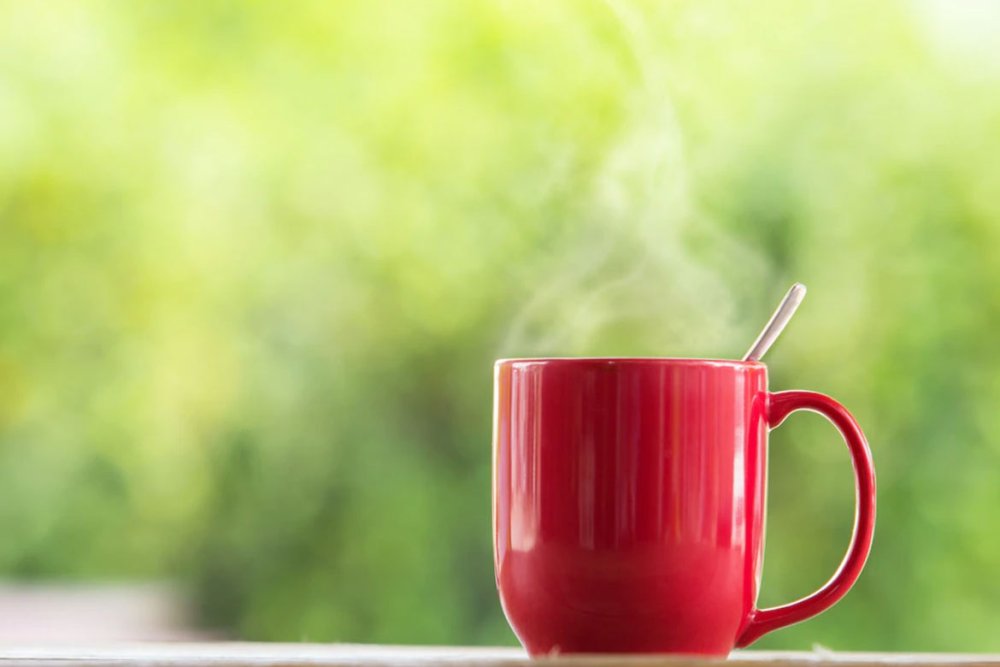 Девушка держит чашку