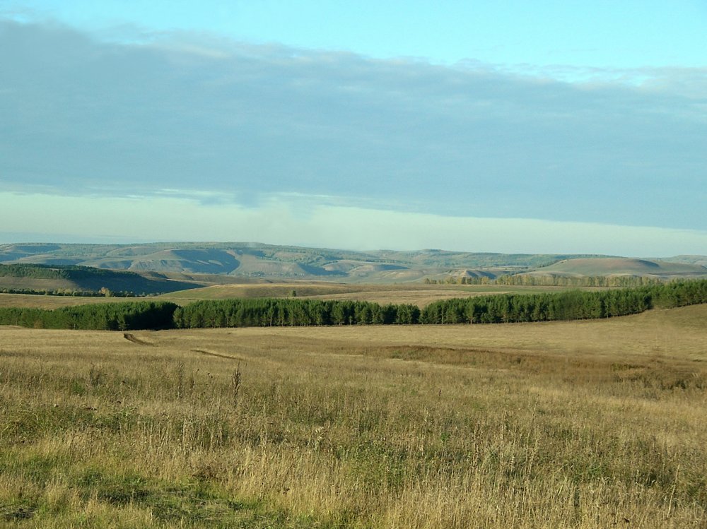 Бугульминско-Белебеевской возвышенности в Предуралье