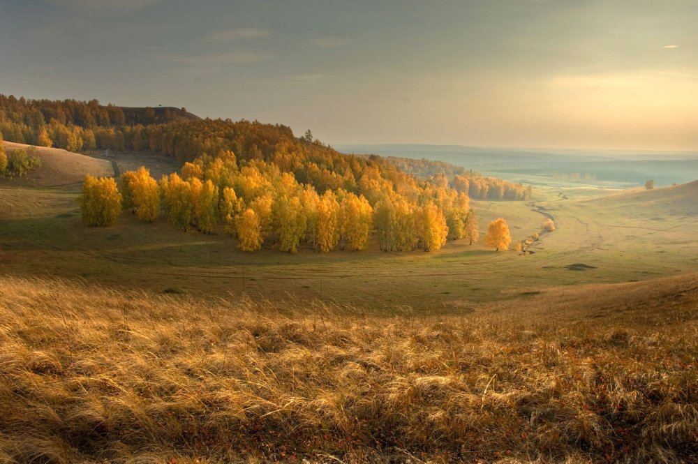 Лысая гора Самарская область большая Раковка