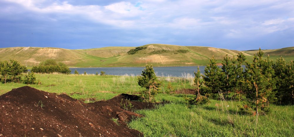 Сопках Маньчжурии природа