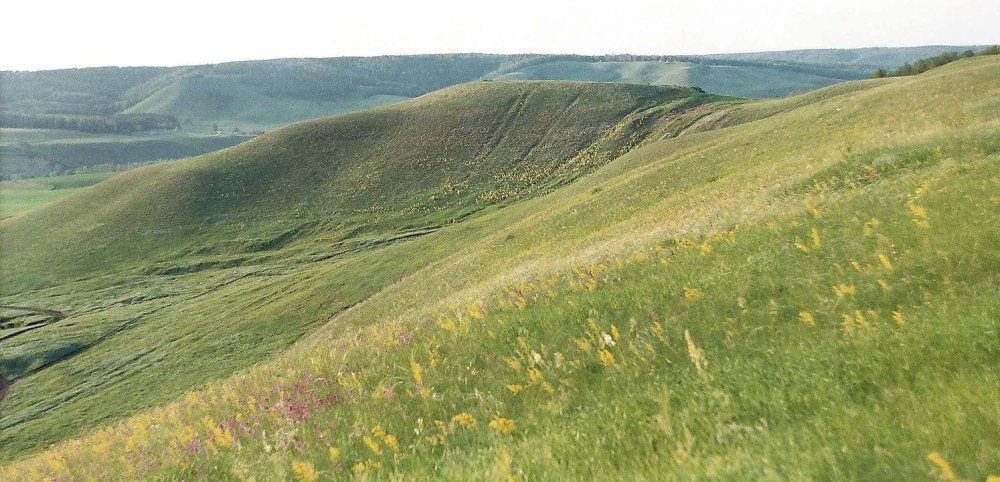 Бугульминско-Белебеевская возв