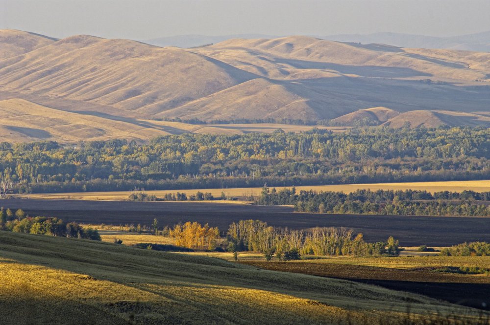 Оренбургские степи сырт