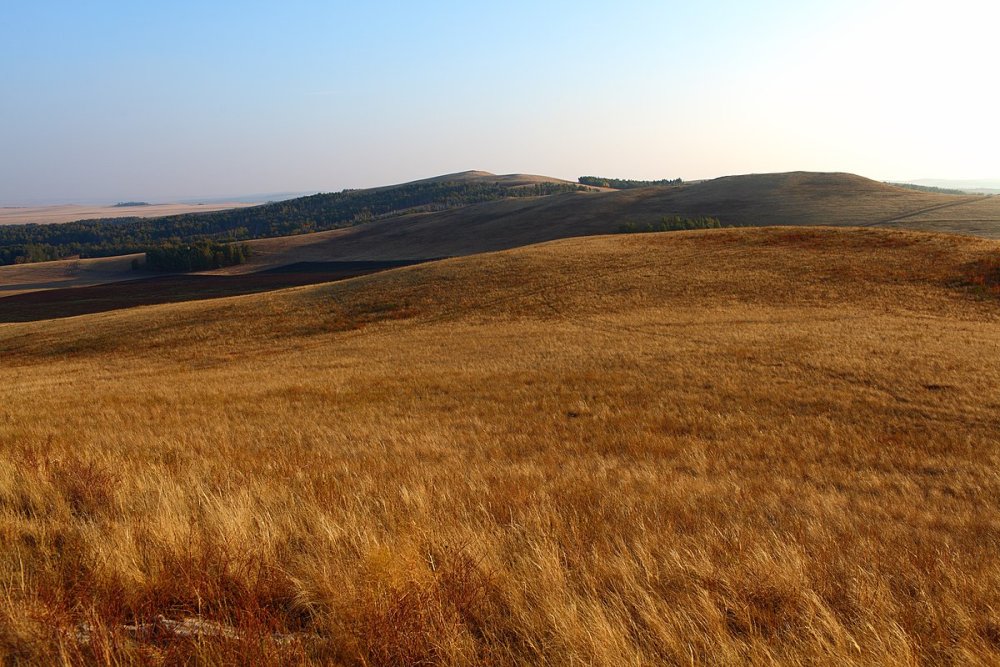 Клинско-Дмитровская гряда