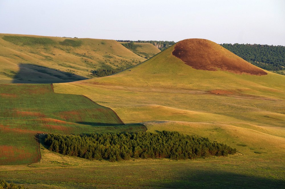 Природа Тульской области