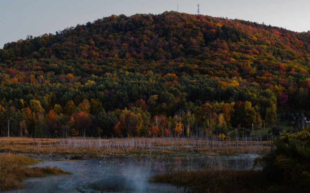 Шаровка Белебеевский район