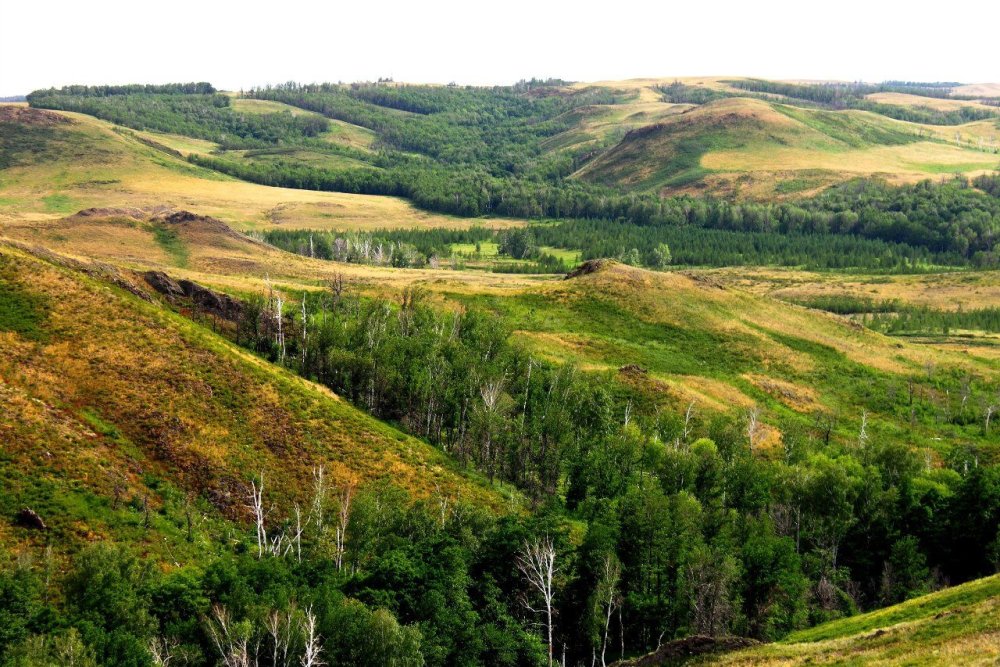 Холмы Красноярского края