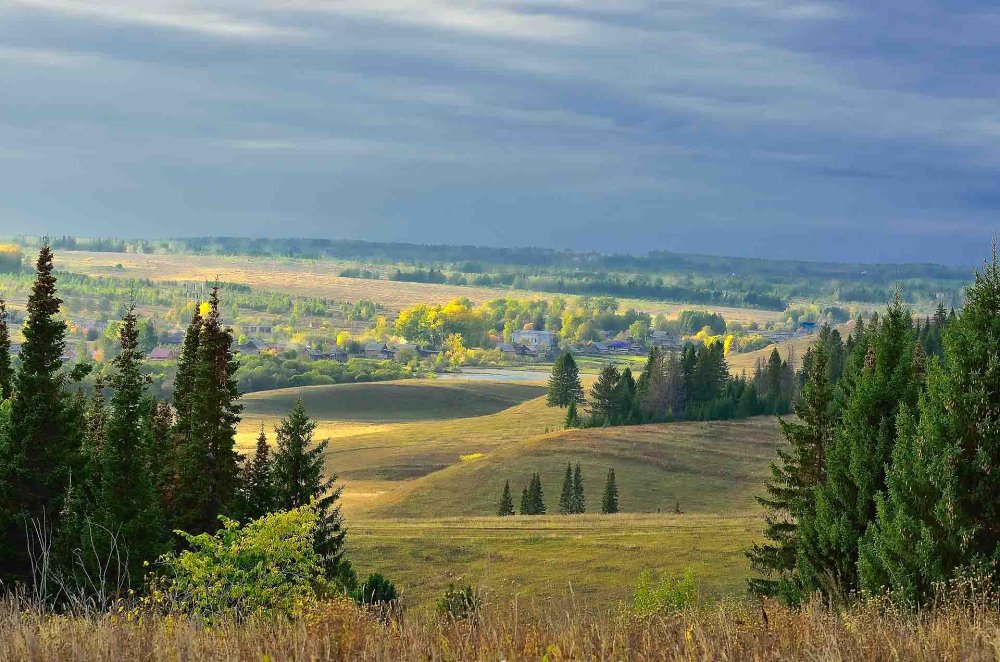 Холмистая равнина Алтайского края