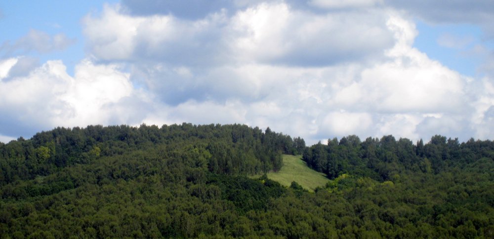 Нефтяной овраг Сергиевского района