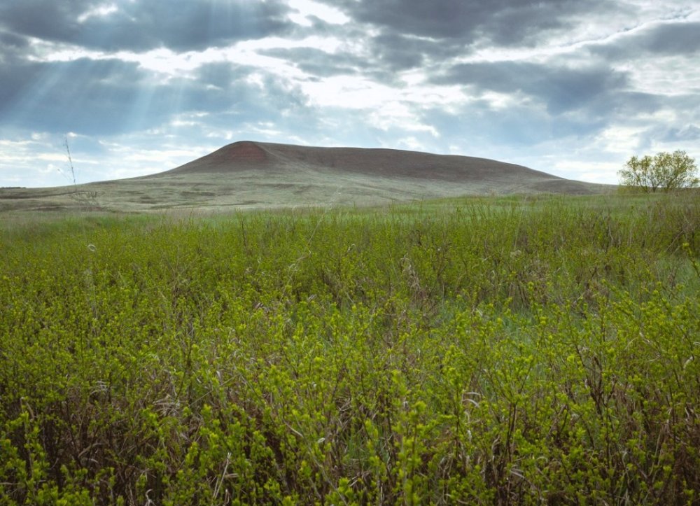 Холмы в Тульской области