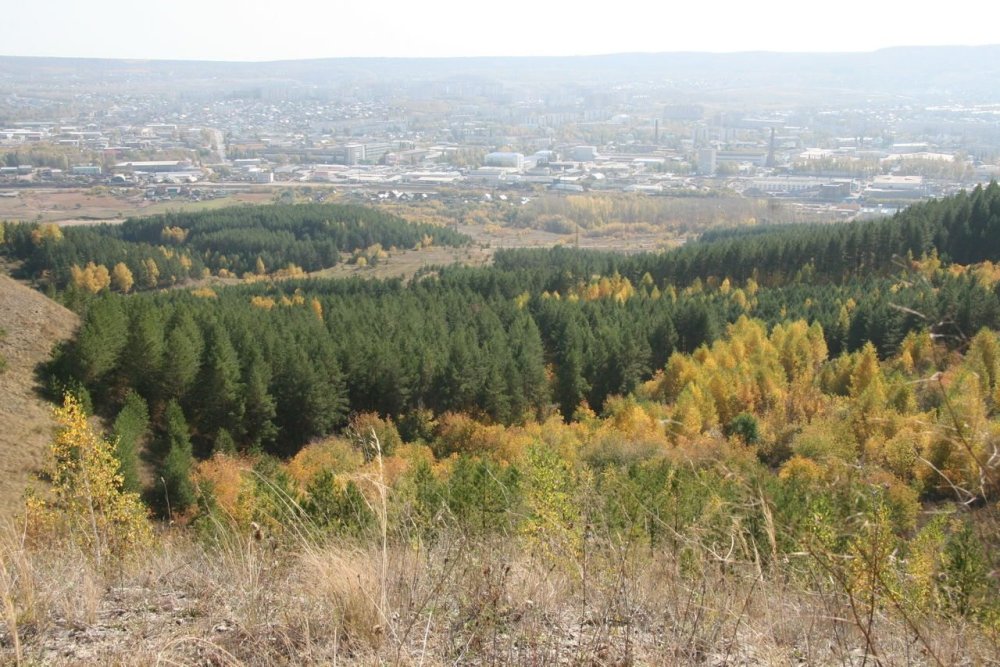 Холмистые моренные ландшафты