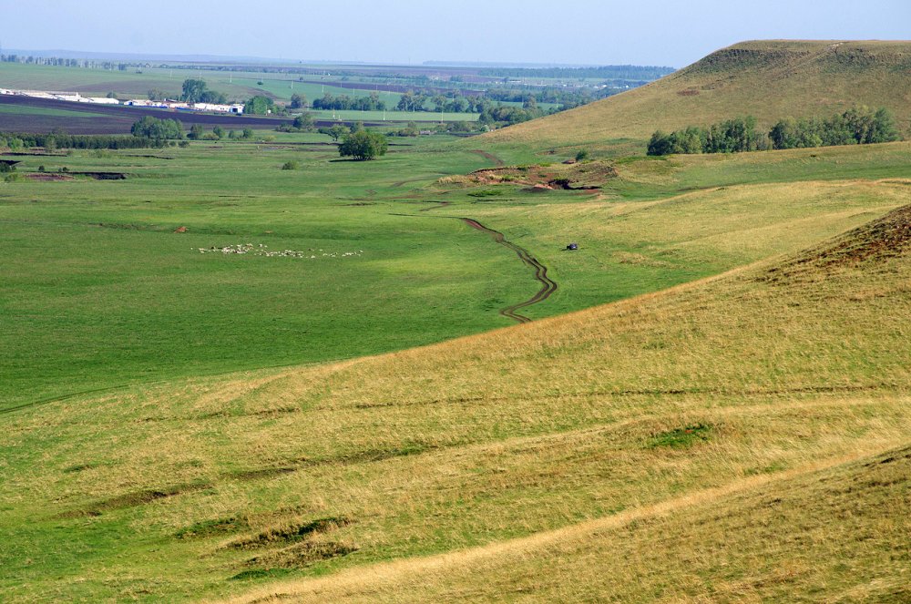 Холмистые моренные ландшафты Швеция