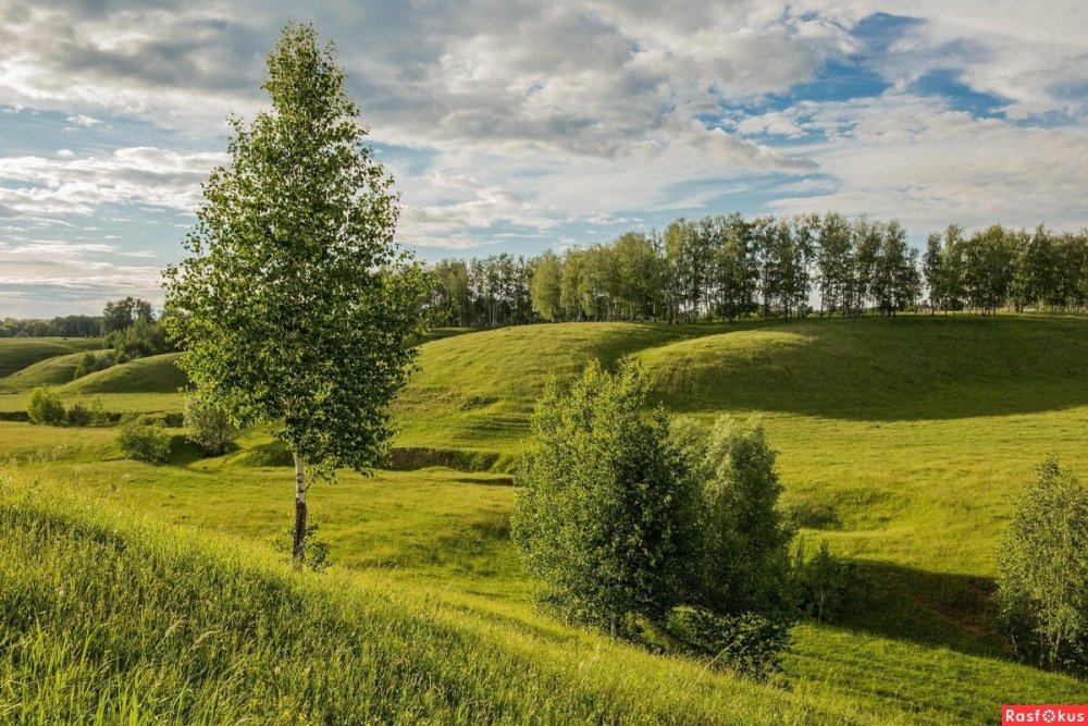 Равнина, Холмистая равнина, плоскогорье