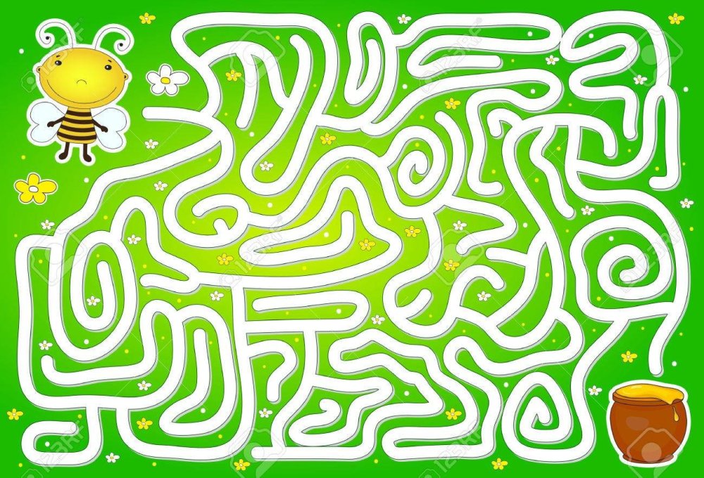 Лабиринт лето