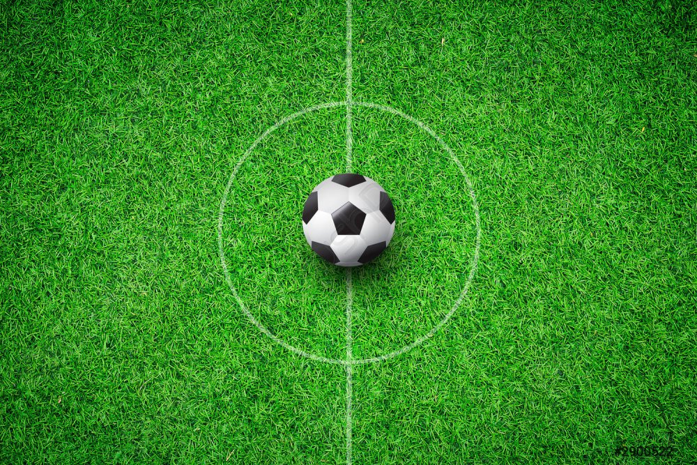 Футбольное поле 3d Max