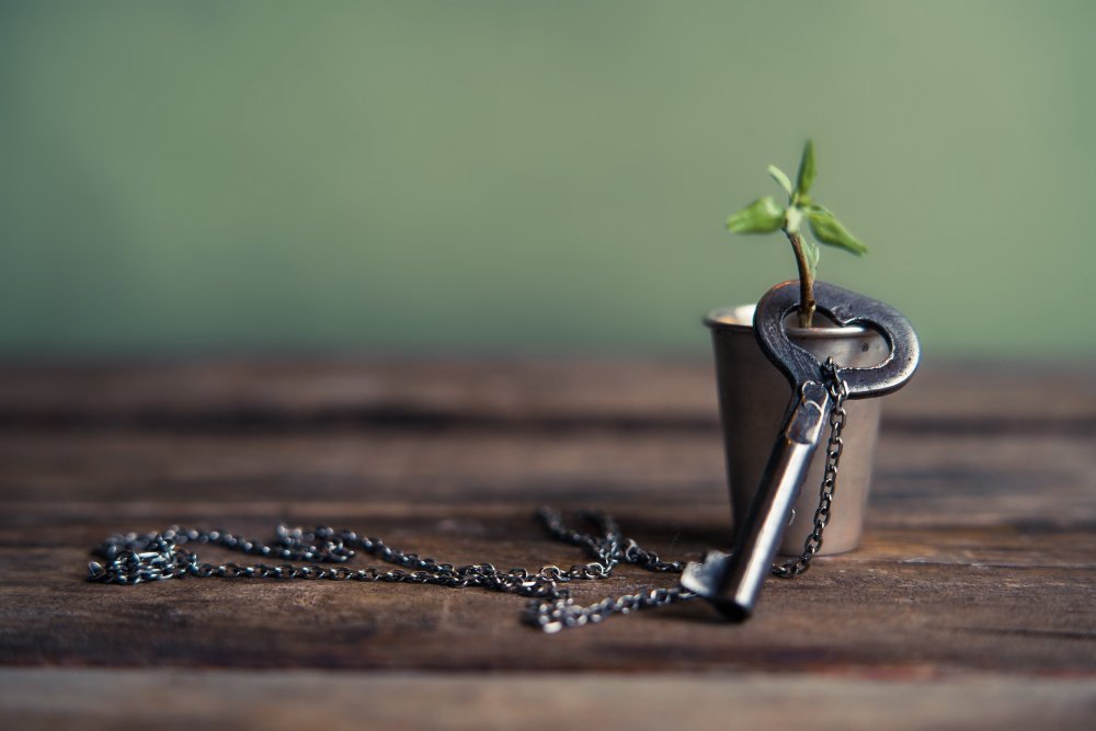 Стильный ключ