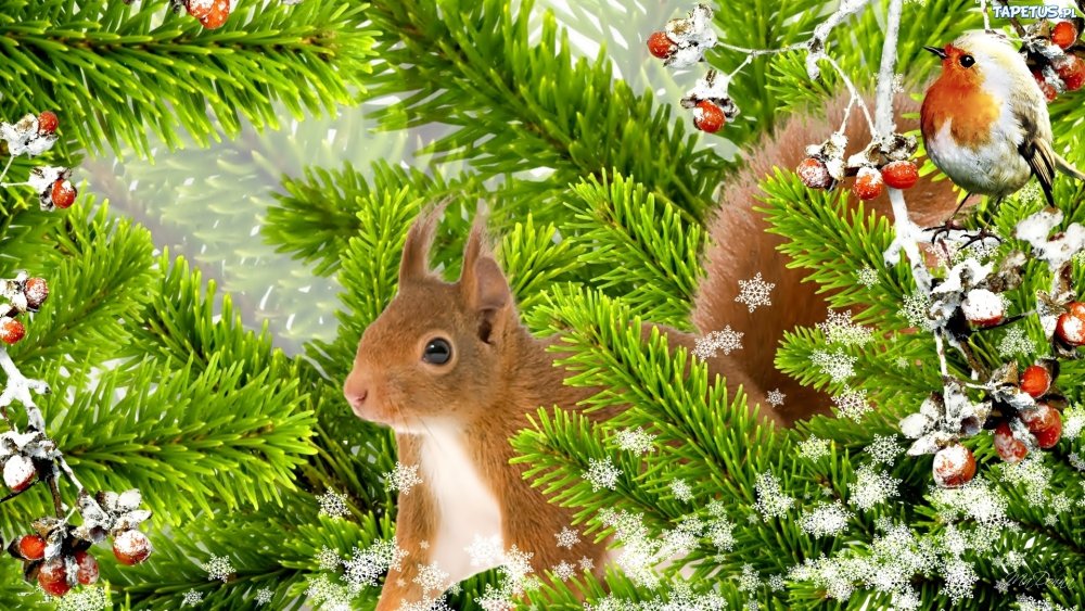 Фон с белками