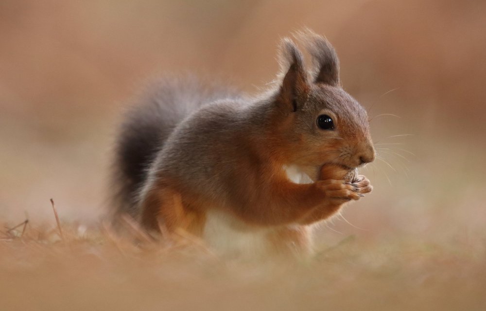 Здравствуй осень