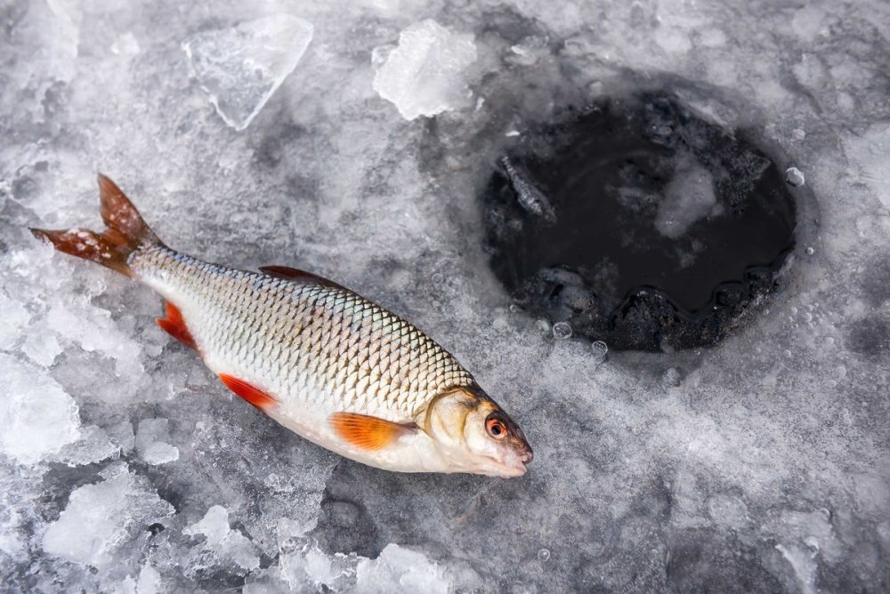 Зимняя рыбалка на Байкале
