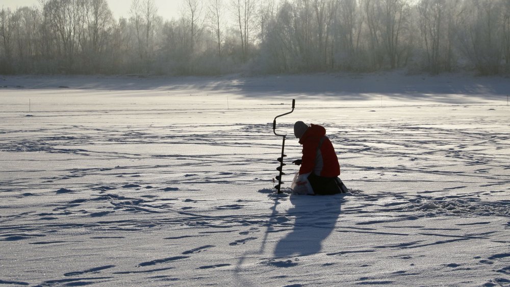 Окунь в глухозимье