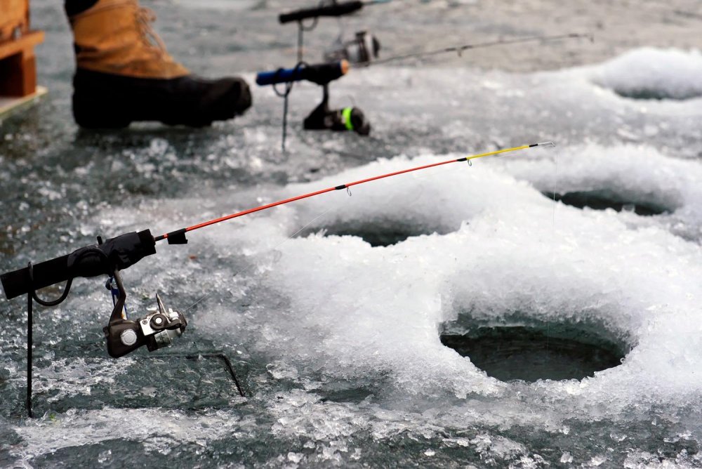 Много рыбаков на льду