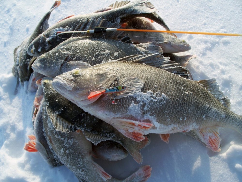 Зимняя рыбалка на льду