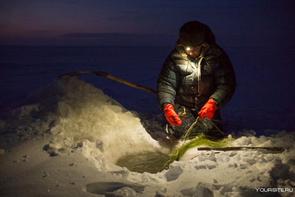 Подледная рыбалка
