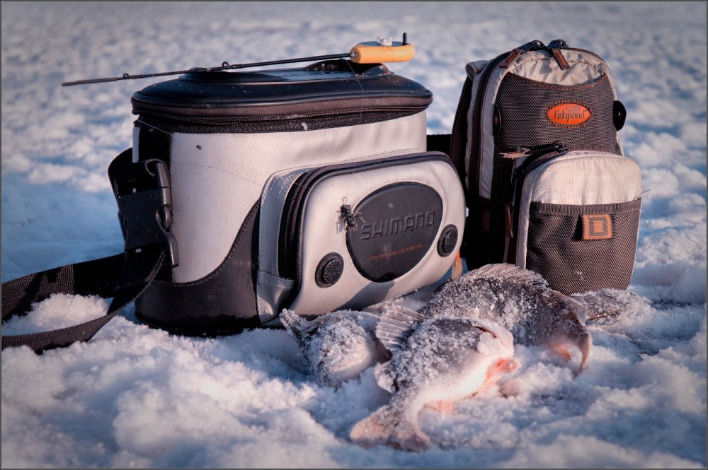 Рыбаки на льду