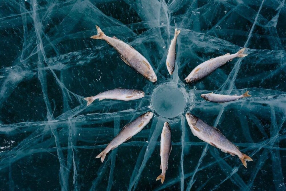 Байкальская рыбалка 2020