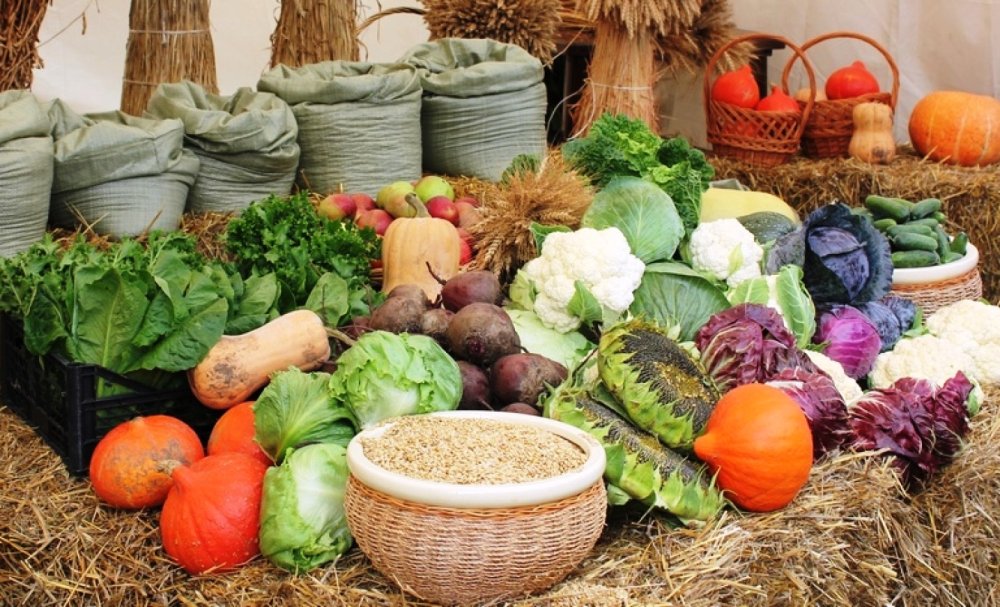 Корзина с овощами