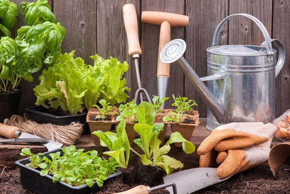 Инвентарь для сада и огорода