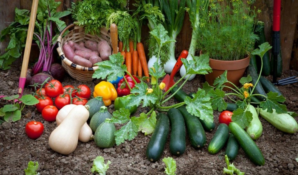 Товары для сада и огорода