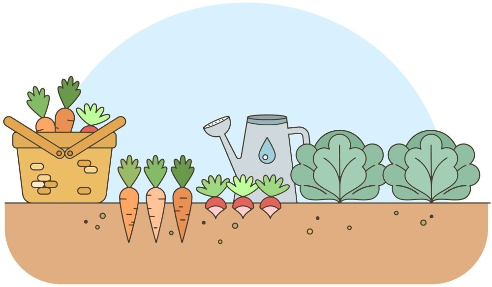 Уборка урожая фруктов