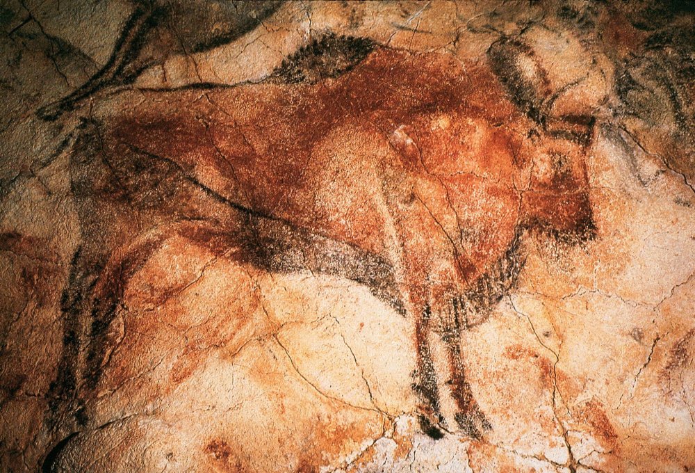 Пещера Ласко колодец