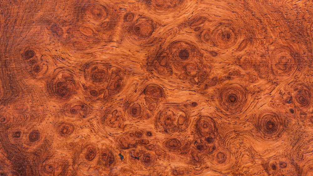 Afzelia Burl дерево