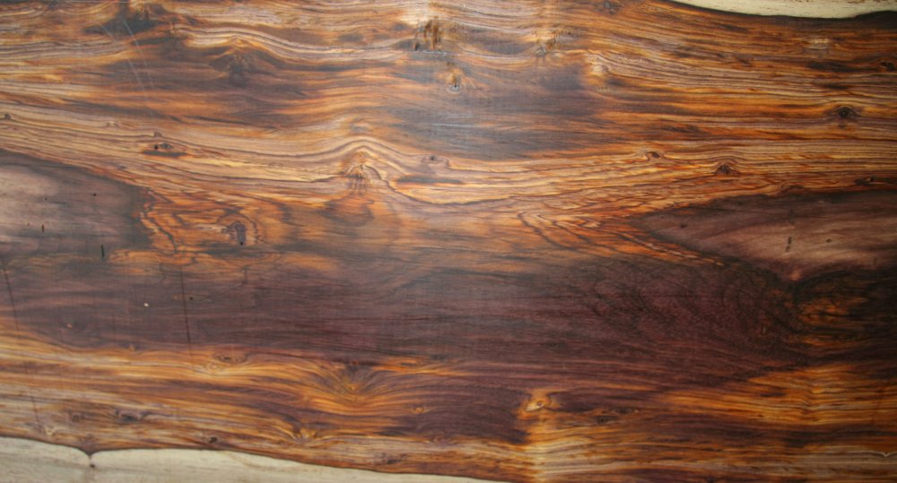 Олива европейская слэб