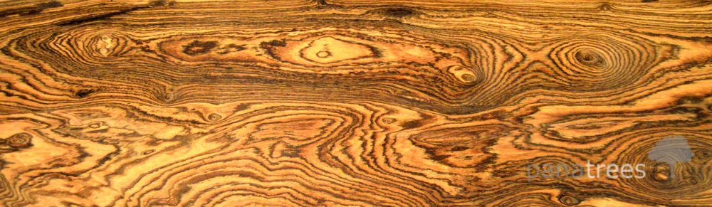 Текстура кедр слэб