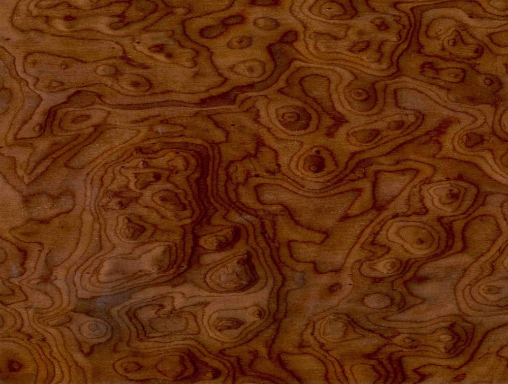 Берл Вуд древесина