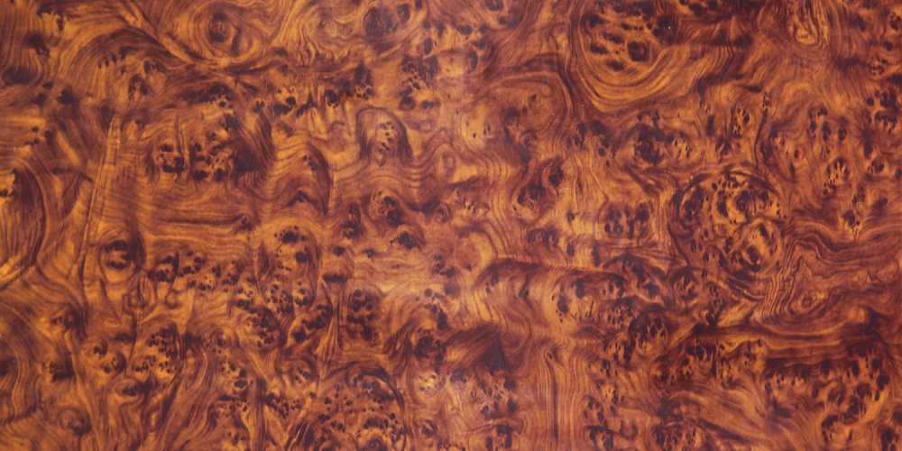 Каповый карагач что это